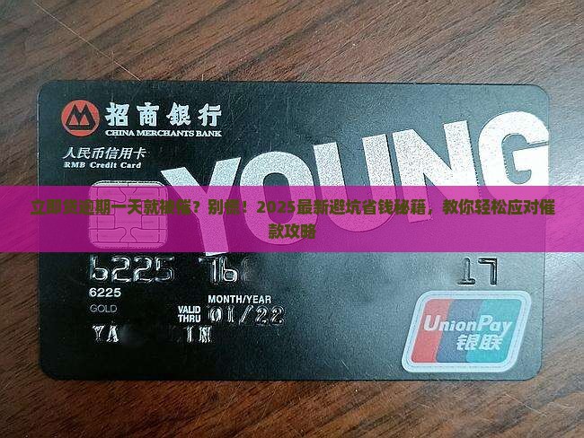 立即贷逾期一天催款怎么办