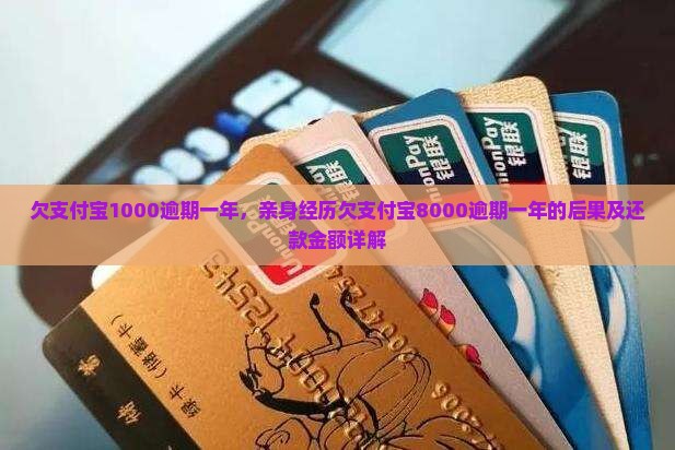 欠支付宝1000逾期一年