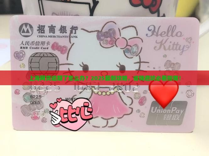 网贷逾期处理上海市的具体流程和注意事项