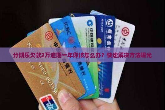 分期乐欠款2万逾期一年