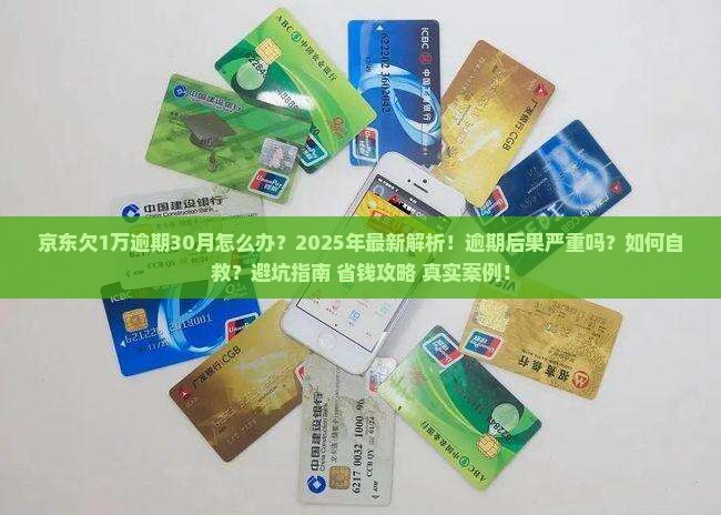 京东白条欠1万逾期30月