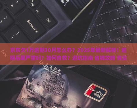 京东白条欠1万逾期30月