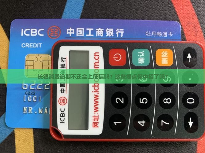 长银消费逾期不还会上征信吗