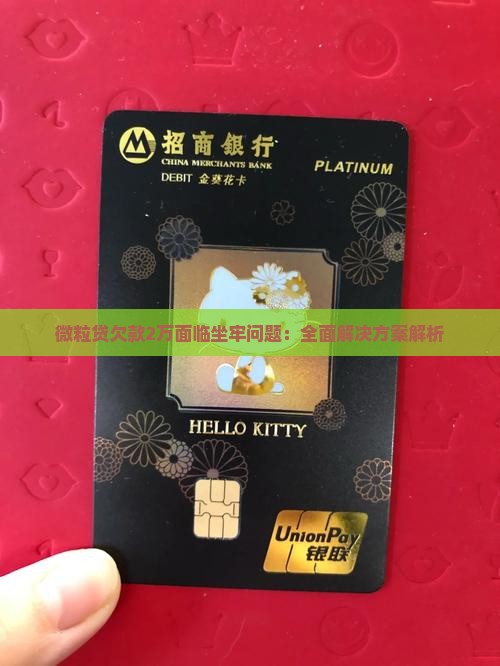微粒贷欠款2万面临坐牢问题：全面解决方案解析