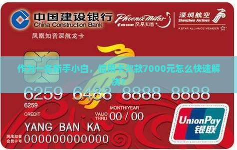 作为一名新手小白，信用卡欠款7000元怎么快速解决？