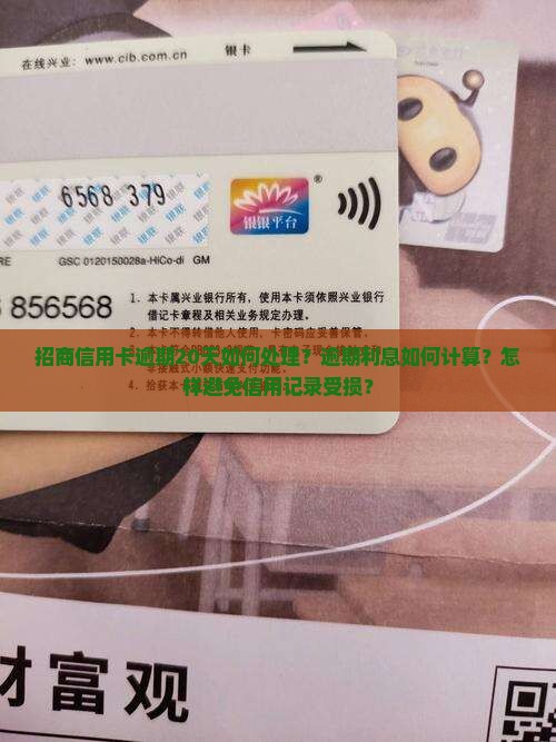 招商信用卡逾期20天如何处理？逾期利息如何计算？怎样避免信用记录受损？