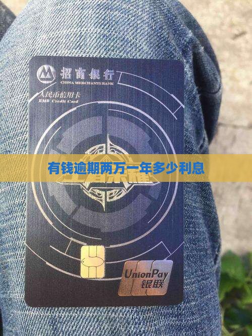 有钱逾期两万一年多少利息
