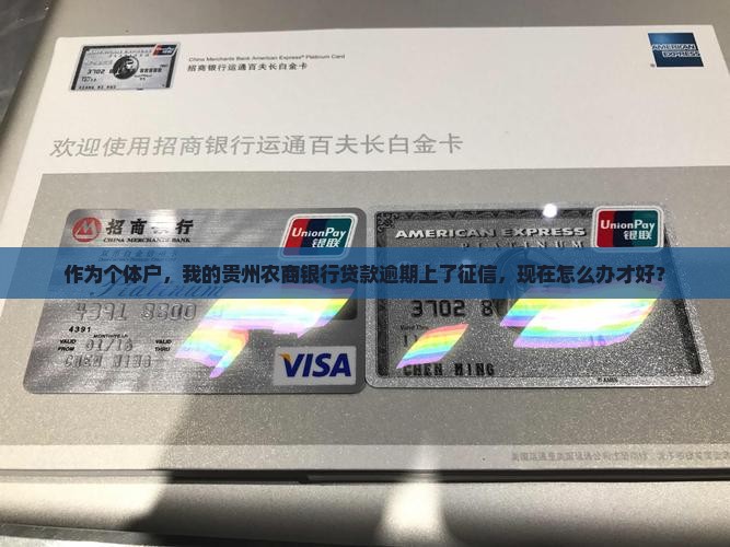 作为个体户，我的贵州农商银行贷款逾期上了征信，现在怎么办才好？