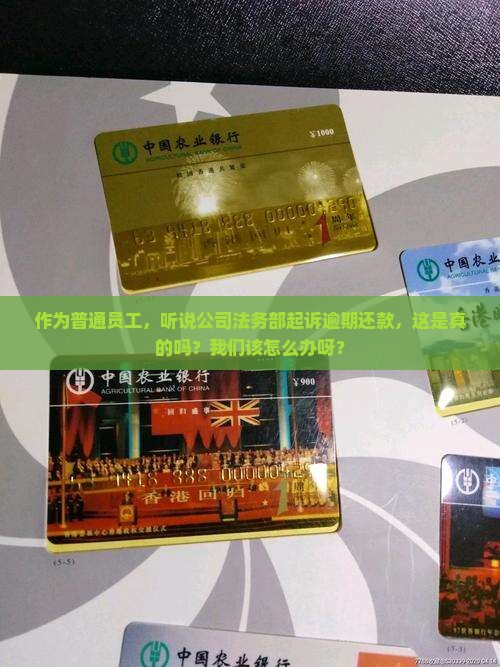 作为普通员工，听说公司法务部起诉逾期还款，这是真的吗？我们该怎么办呀？