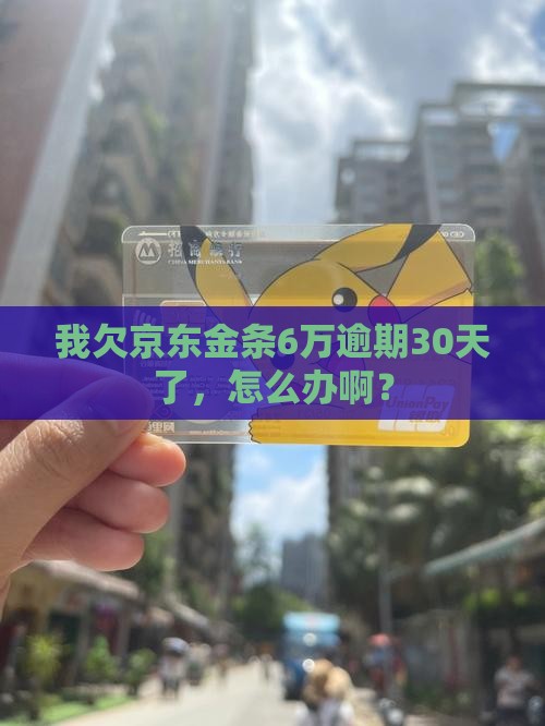 我欠京东金条6万逾期30天了，怎么办啊？