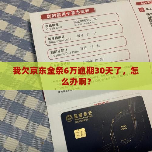 我欠京东金条6万逾期30天了，怎么办啊？