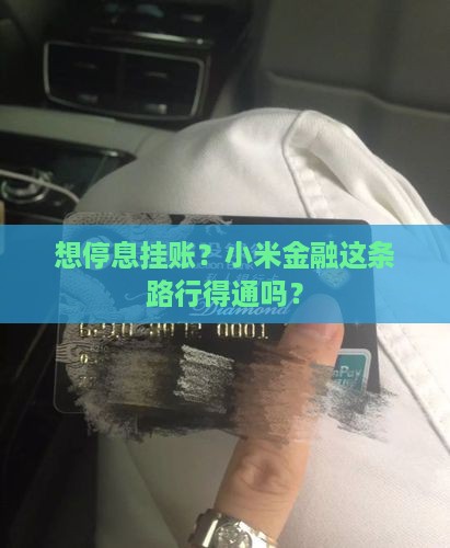 想停息挂账？小米金融这条路行得通吗？