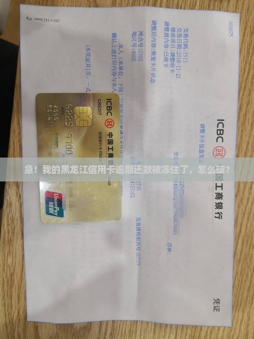急！我的黑龙江信用卡逾期还款被冻住了，怎么破？