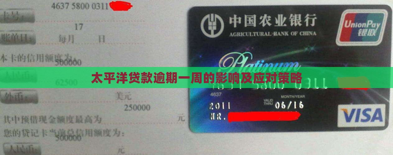 太平洋贷款逾期一周的影响及应对策略