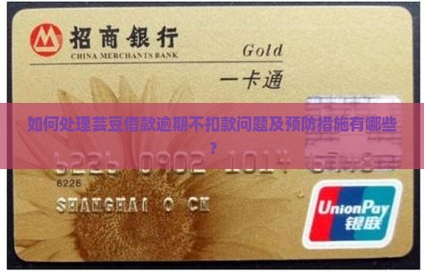 如何处理芸豆借款逾期不扣款问题及预防措施有哪些？