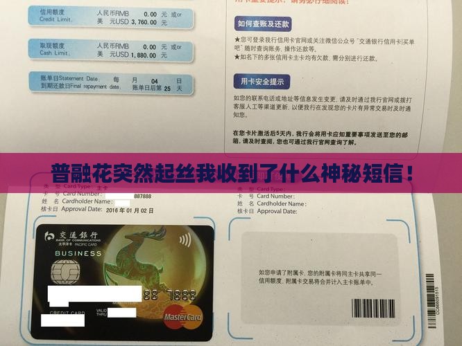 普融花突然起丝我收到了什么神秘短信！