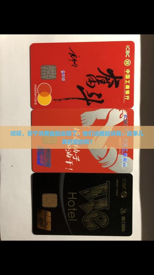 哎呀，苏宁消费金融逾期了，他们说要起诉我，这事儿真的假的啊？