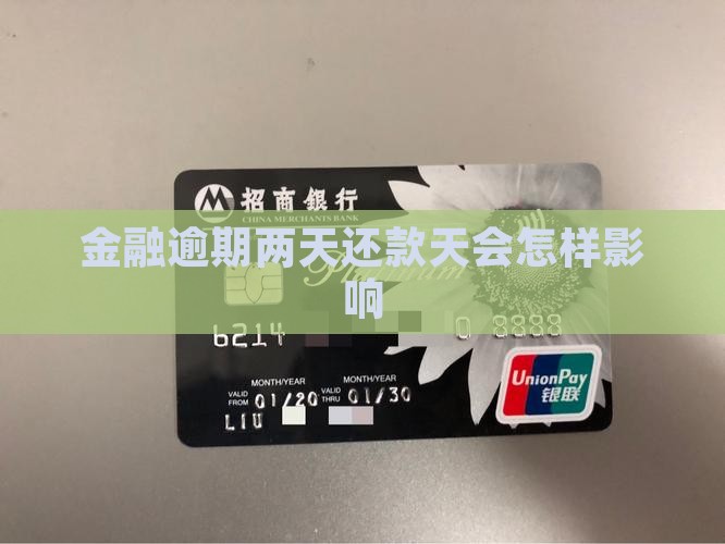 金融逾期两天还款天会怎样影响
