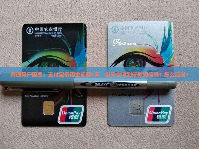 普通用户困惑：支付宝备用金逾期1天，当天会收到催款短信吗？怎么应对？