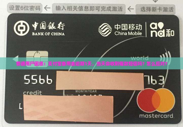 普通用户困惑：支付宝备用金逾期1天，当天会收到催款短信吗？怎么应对？
