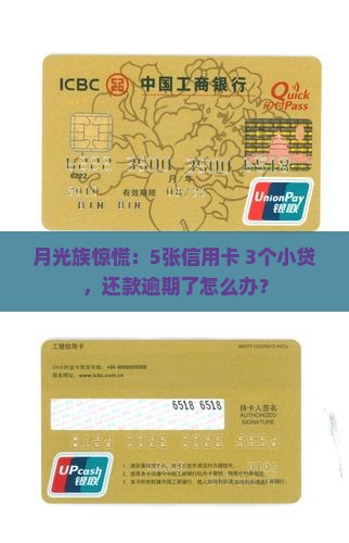 月光族惊慌：5张信用卡+3个小贷，还款逾期了怎么办？