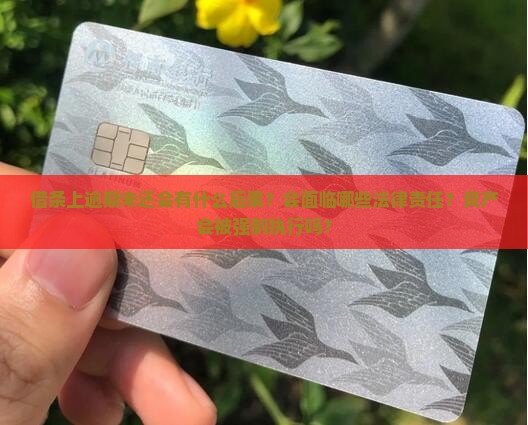 借条上逾期未还会有什么后果？会面临哪些法律责任？资产会被强制执行吗？