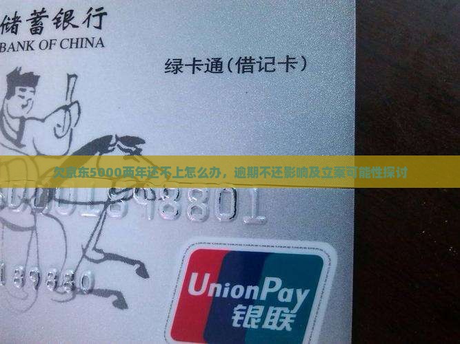 欠京东5000两年还不上怎么办，逾期不还影响及立案可能性探讨