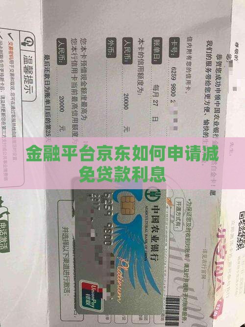 金融平台京东如何申请减免贷款利息
