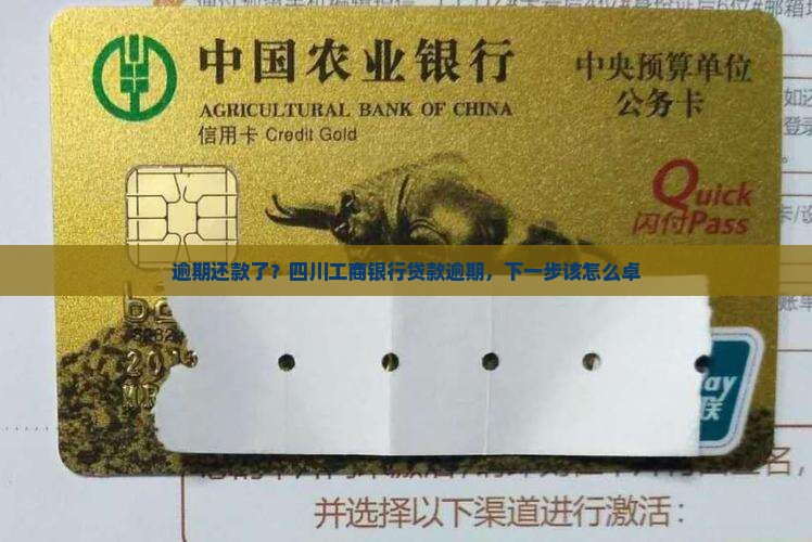 逾期还款了？四川工商银行贷款逾期，下一步该怎么卓