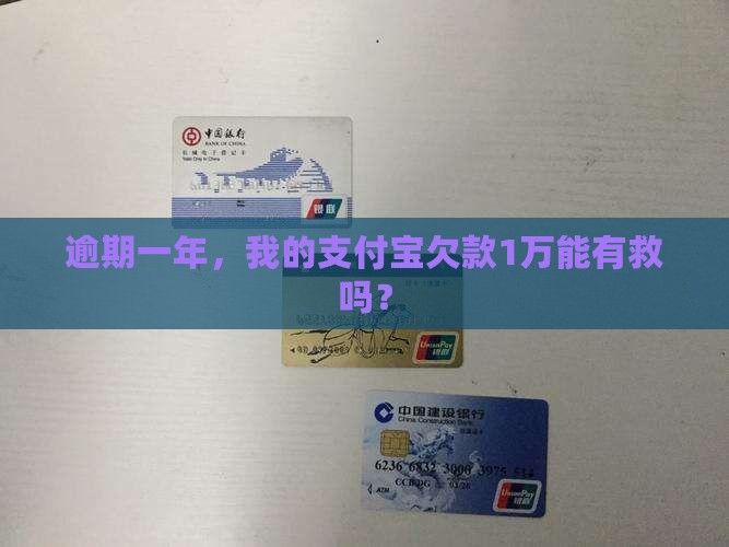 逾期一年，我的支付宝欠款1万能有救吗？