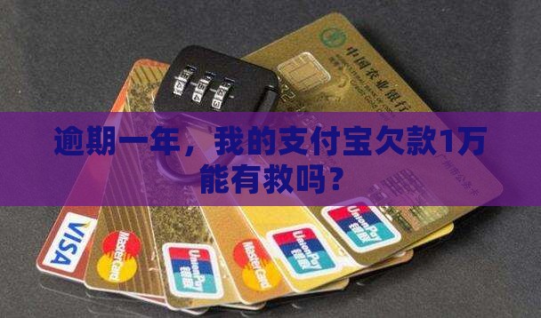 逾期一年，我的支付宝欠款1万能有救吗？