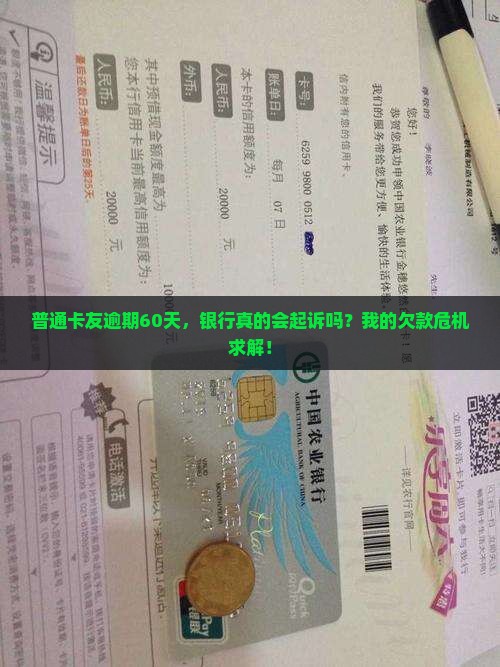 普通卡友逾期60天，银行真的会起诉吗？我的欠款危机求解！