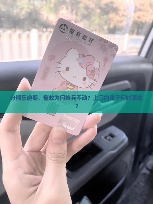 分期乐逾期，催收为何按兵不动？上门的靴子何时落地？