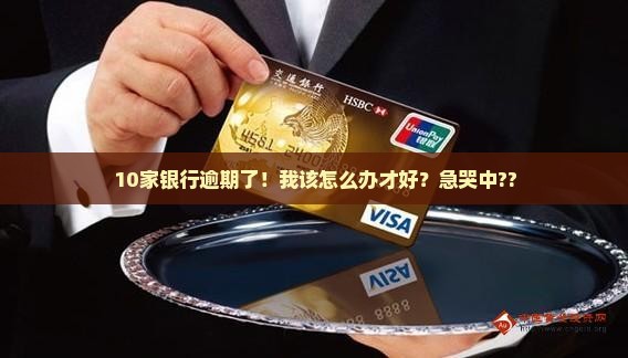 10家银行逾期了！我该怎么办才好？急哭中??