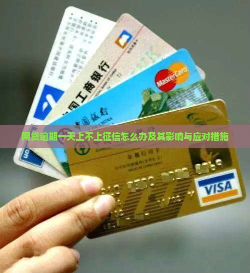 网贷逾期一天上不上征信怎么办及其影响与应对措施