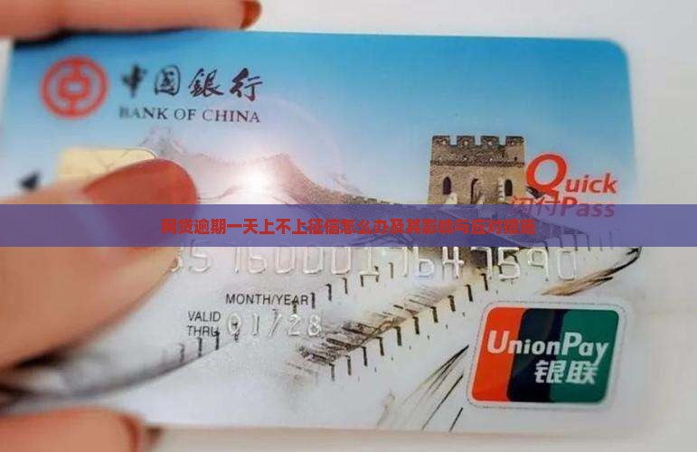网贷逾期一天上不上征信怎么办及其影响与应对措施