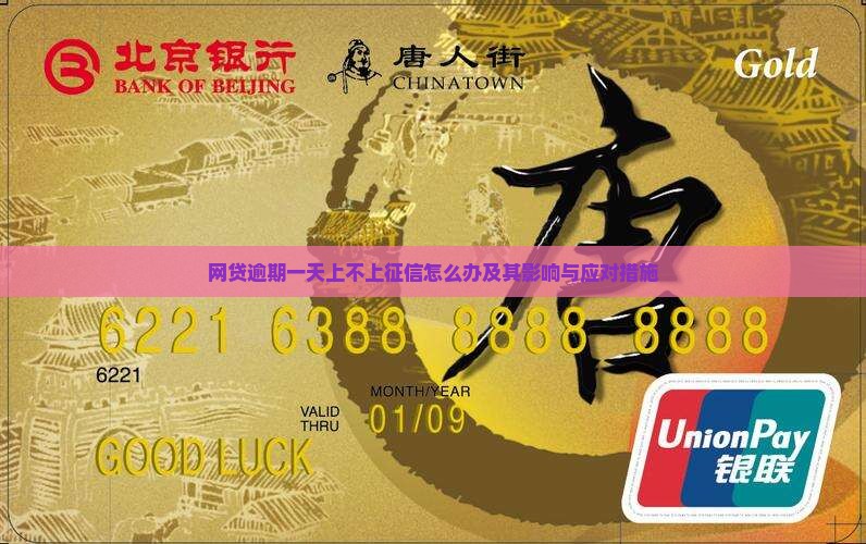网贷逾期一天上不上征信怎么办及其影响与应对措施