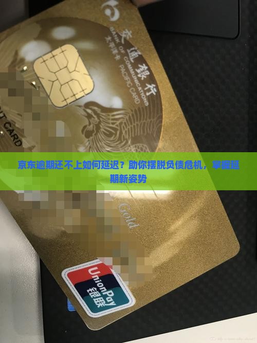 京东逾期还不上如何延迟？助你摆脱负债危机，掌握延期新姿势