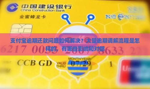 支付宝逾期还款问题如何解决？大量逾期调解流程是怎样的，有哪些影响和对部