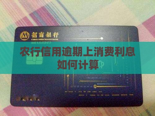 农行信用逾期上消费利息如何计算