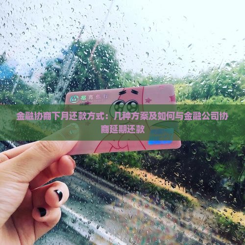 金融协商下月还款方式：几种方案及如何与金融公司协商延期还款