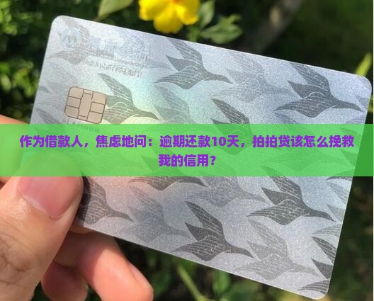作为借款人，焦虑地问：逾期还款10天，拍拍贷该怎么挽救我的信用？