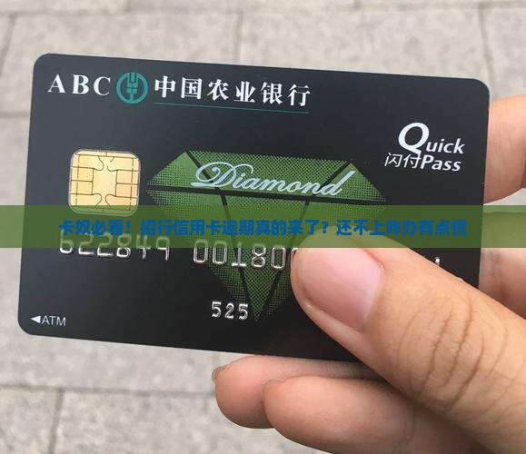 卡奴必看！招行信用卡逾期真的来了？还不上咋办有点慌