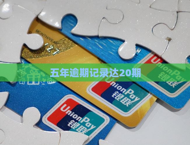 五年逾期记录达20期