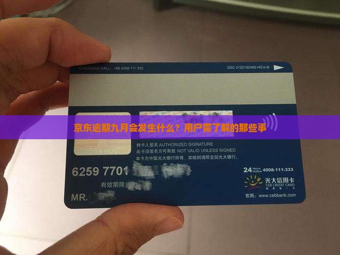 京东逾期九月会发生什么？用户需了解的那些事