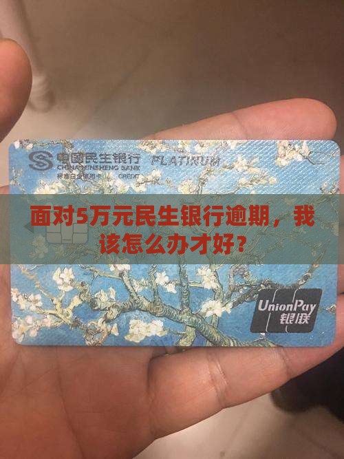 面对5万元民生银行逾期，我该怎么办才好？