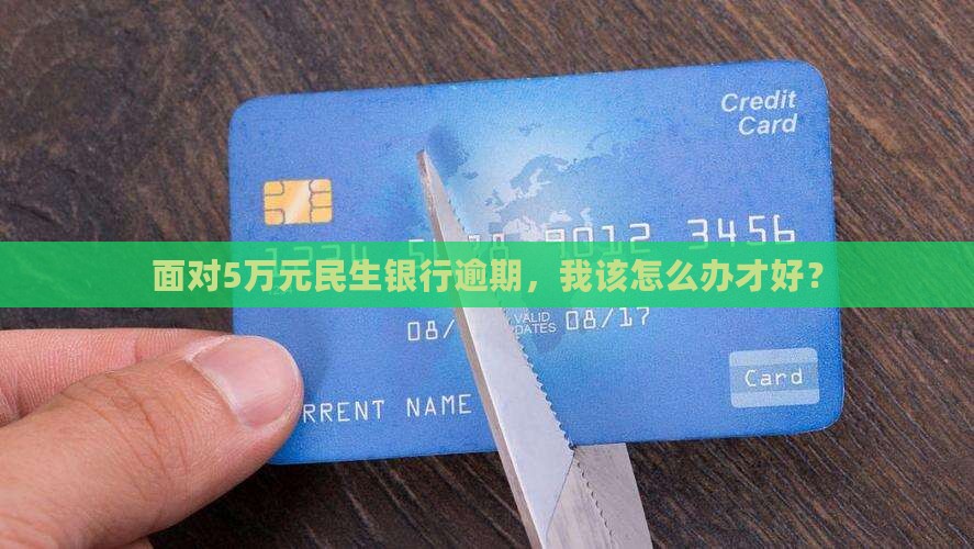 面对5万元民生银行逾期，我该怎么办才好？