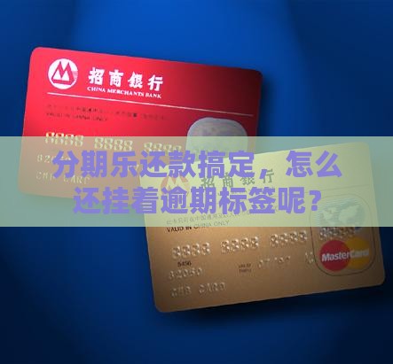 分期乐还款搞定，怎么还挂着逾期标签呢？