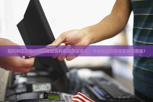 如何制定还款计划以降低善林金融借款成本？节省利息的有效策略有哪些？