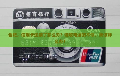 合肥，信用卡逾期了怎么办？催收电话响不停，我该肿么办？